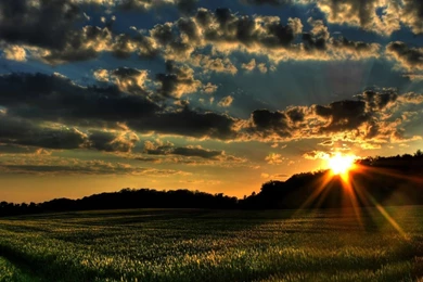 Morning Nature Spring Wallpapers