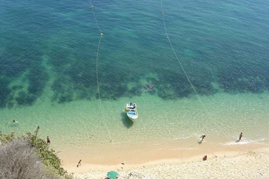 Free Screensavers And Wallpapers   7Screensavers.com