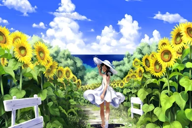 Girl On The Sunflower Field Wallpapers