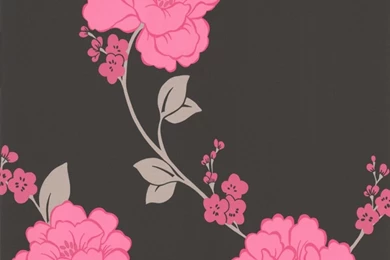 Gallery For   Black And Pink Floral Wallpapers