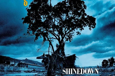 Shinedown Shinedown Wallpapers (446527) Fanpop