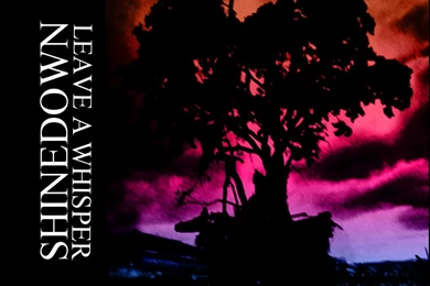 Browsing Minimalistic On DeviantArt