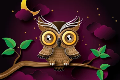 Owl Vector Art Wallpapers HD Download For Desktop & Mobile