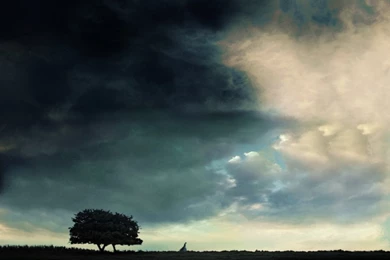 Pride And Prejudice Wallpapers And Images Wallpapers Pictures