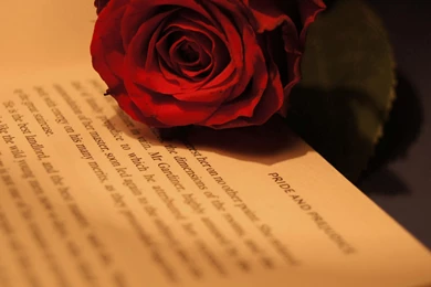 PRIDE AND PREJUDICE WALLPAPER   (