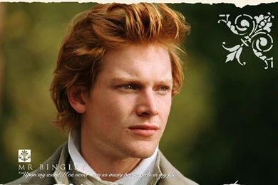 Free Wallpapers   Free Movie Wallpapers   Pride And Prejudice ...