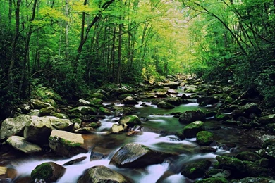 Gallery For   Free Wallpapers Smoky Mountains