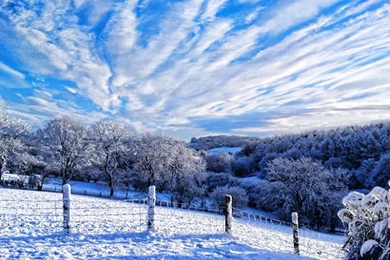 960x600 Wallpapers: Beautiful Bouquet Flowers Pink Roses Nature ...