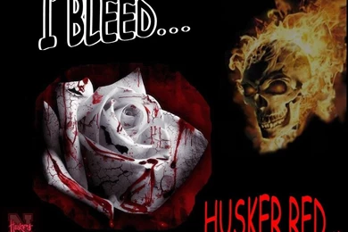 Gallery For   Husker Football Desktop Wallpapers