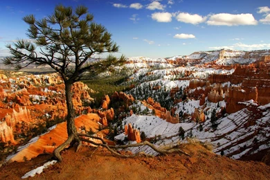 Bryce National Park Winter   Wallpaper.