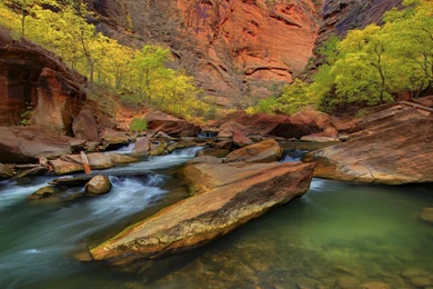 Zion National Park Summer   Wallpaper.