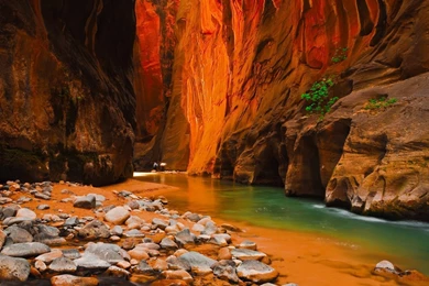 Zion National Park, Utah 990x742px