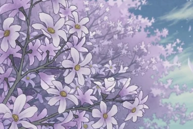 Anime Scenery HD Wallpapers And Backgrounds