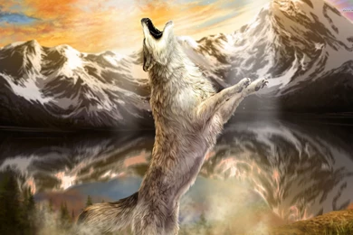 Howling Wolf Wallpapers Digital Art Wallpapers