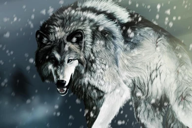 Hunting Wolf Wallpapers (