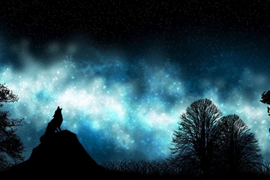 Wolf On A Rock Howling Desktop Wallpapers 362