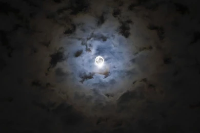Download Halloween Moon Backgrounds HD 7709 1920x1200 Px High ...