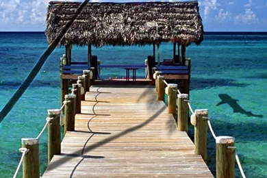 iPhone 4 Beach Backgrounds V1 By Ryanx2 On DeviantArt