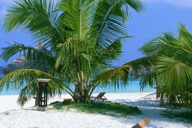 Download Wallpapers 750x1334 Beach, Sun Lounger, Sand, Beautiful ...