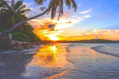 Background, Beach, Beautiful, Bright, City, Day, Disney, Edit ...