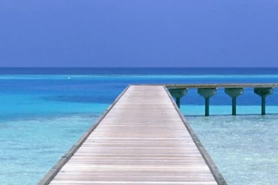 Dark Forest 3 iPhone 5s Wallpapers Download