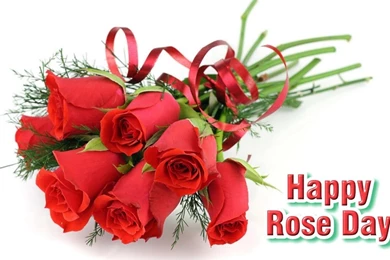 Happy Rose Day 2016 HD Wallpapers   Happy Valentine's Day 2016 ...