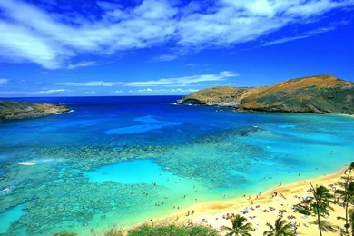 Images Hd Download   Widescreen HD Wallpapers