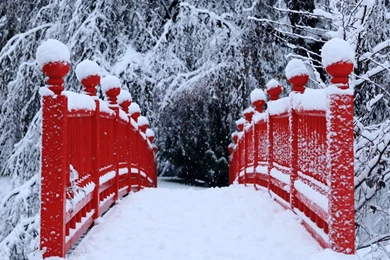 Winter Season Snow Trees Red Bridges Wallpapers
