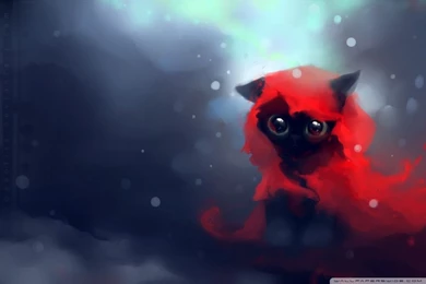 Red Riding Hood Cat HD Desktop Wallpapers : Widescreen : High ...