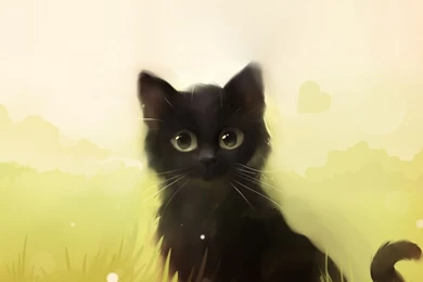 Savage Cat HD Desktop Wallpapers : High Definition : Fullscreen ...