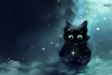 Googly Eyed Cat Wallpapers   Artistic Wallpapers