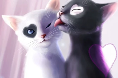 Lovely Anime Cat CouplesHD Wallpapertec