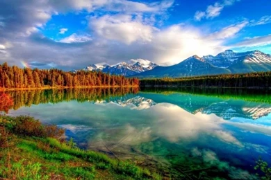 Amazing Nature Desktop Backgrounds Of Spring