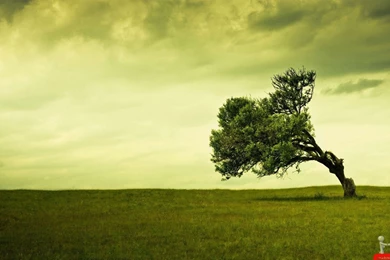 Gallery For   Amazing View Wallpapers