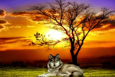 Nature Wallpapers, Hd Landscape Images, Nature Backgrounds ...