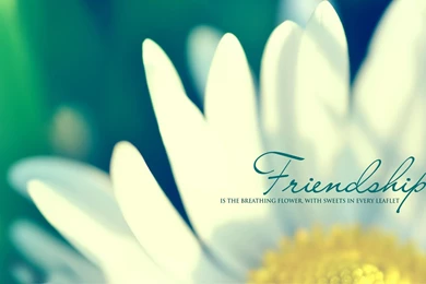 Gallery For   Friendship Desktop Wallpapers