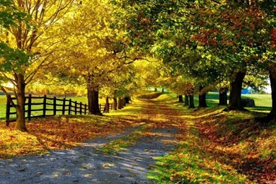 Amazing Desktop Wallpapers HD   Hemslojdsgoten