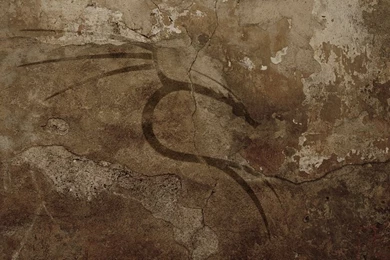 BackTrack Backgrounds Graffiti By Delboy1066 On DeviantArt