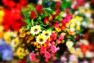 And We Are Back Again! – Pumpernickel Pixie