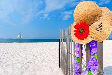 Gallery For   Hot Summer Wallpapers