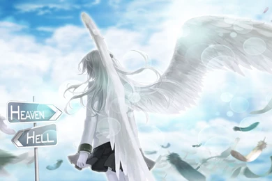 Anime Angel Wings Free Wallpapers