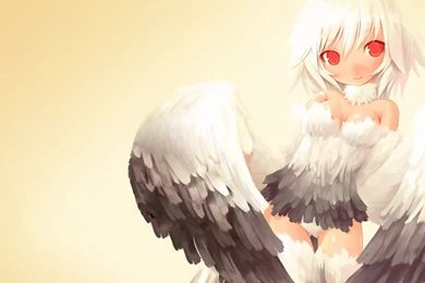 Anime Angel Wallpapers   110385
