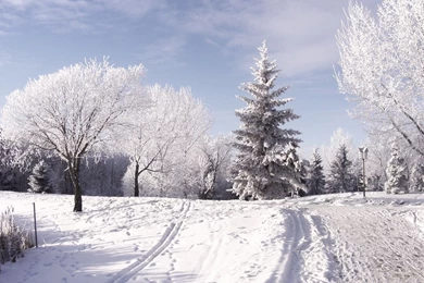 Gallery For   Desktop Wallpapers Winter Season