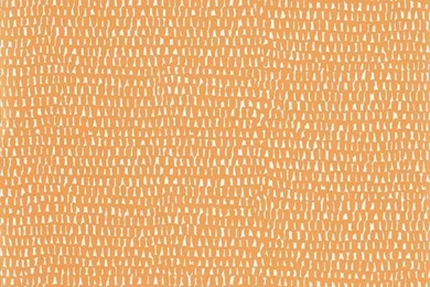 Scion Totak Wallpapers   Tangerine (74 CAD) ❤ Liked On Polyvore ...