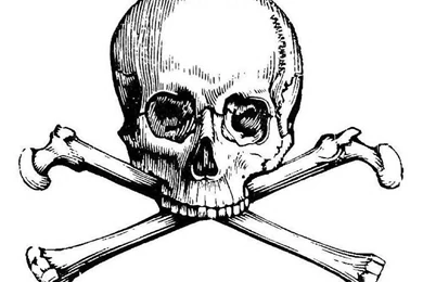 Skull And Crossbone Wallpapers   Android Apps And Tests   AndroidPIT