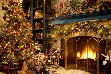 Christmas Trees, Fire, 1920x1200 HD Wallpapers And FREE Stock Photo