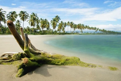 Extreme Beauty Of The Beach – Design Inspiration