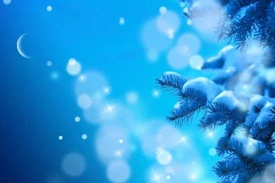 Seasonal Winter Trees Snow Snowflakes Flakes Christmas Wallpapers ...