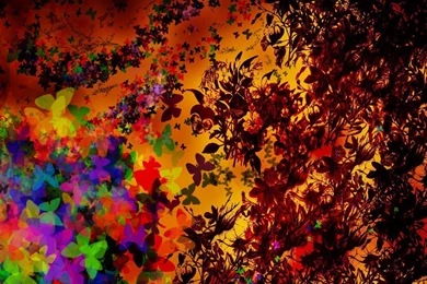Best Colorful Wallpapers 3D STAY007