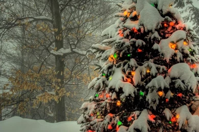 Dual Monitor Resolution Holidays Wallpapers, Desktop Backgrounds HD